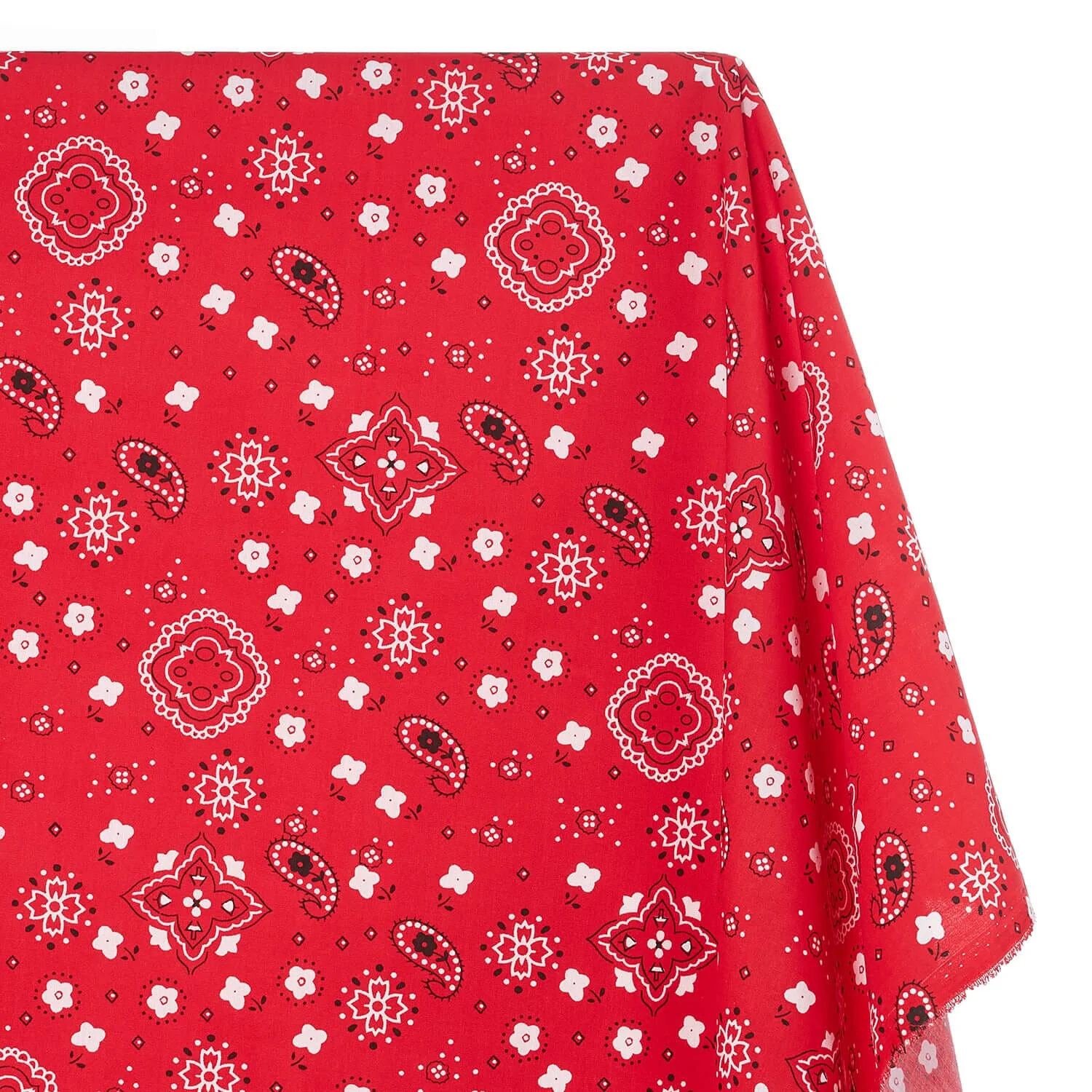 Paisley Print Bandana Broadcloth (60 Inches) - Image 11