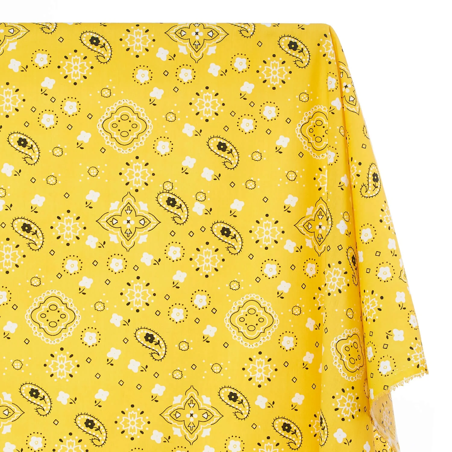 Paisley Print Bandana Broadcloth (60 Inches) - Image 14